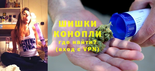 прущие грибы Абаза