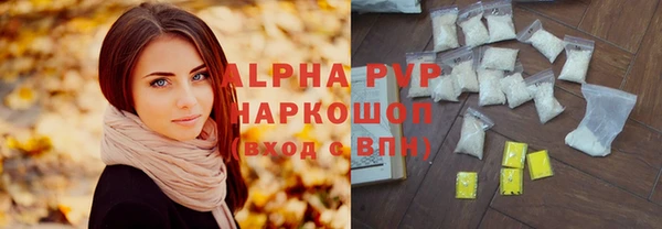 прущие грибы Абаза
