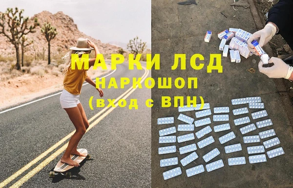 прущие грибы Абаза