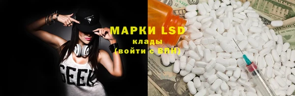 прущие грибы Абаза