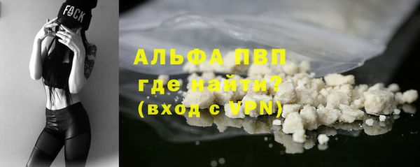прущие грибы Абаза
