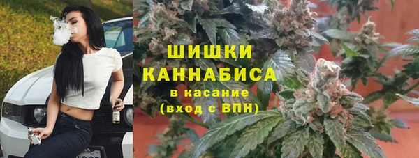 прущие грибы Абаза