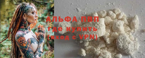 прущие грибы Абаза