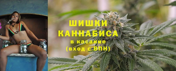 прущие грибы Абаза