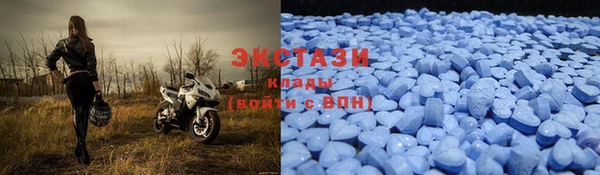 прущие грибы Абаза