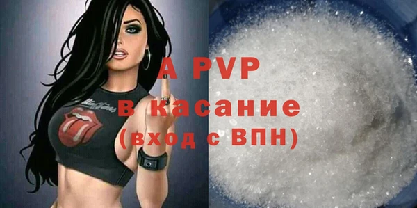 прущие грибы Абаза