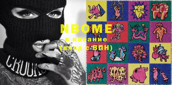 прущие грибы Абаза