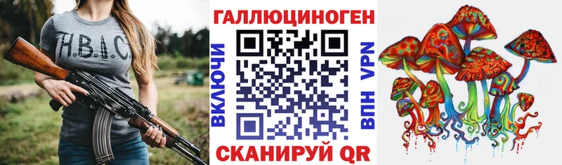 Псилоцибиновые грибы Psilocybine cubensis  Новосибирск 